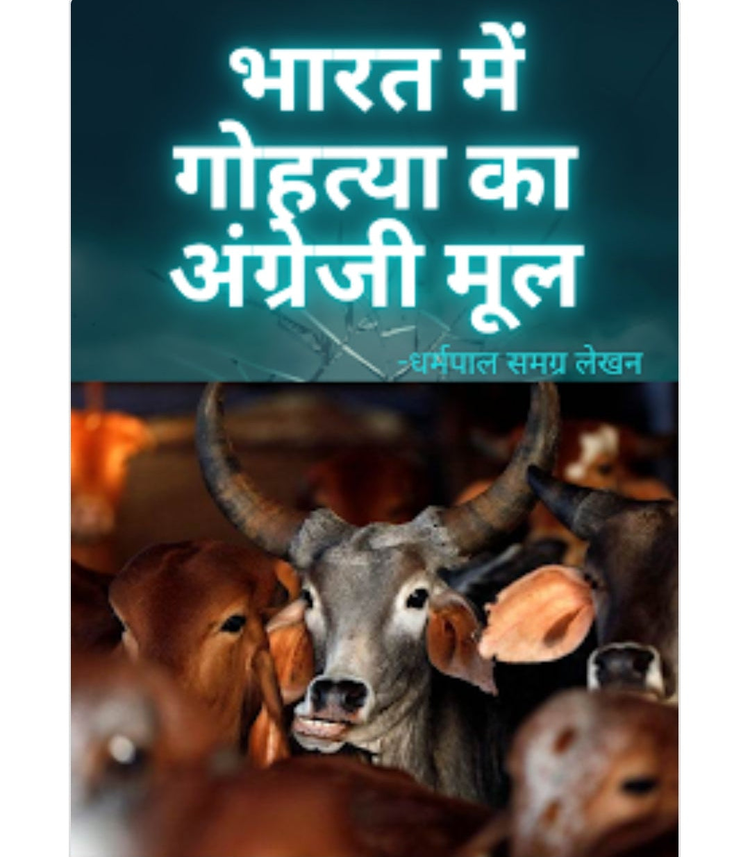 RAJIV DIXIT 33 BOOKS SET